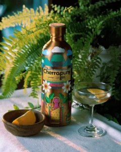 Cherrapunji Gin Price in Mumbai