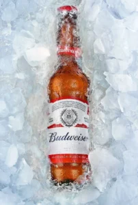 Best Beer Brands