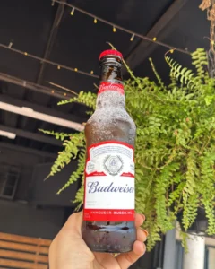 Budweiser Beer Price in India
