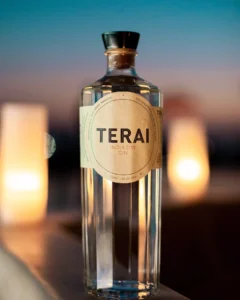 Gin in India