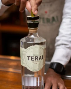 Terai Gin Price