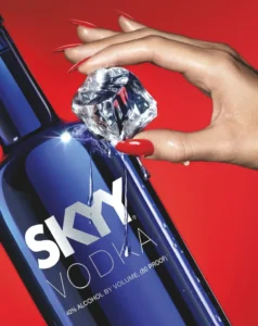 Skyy Vodka Price in Punjab